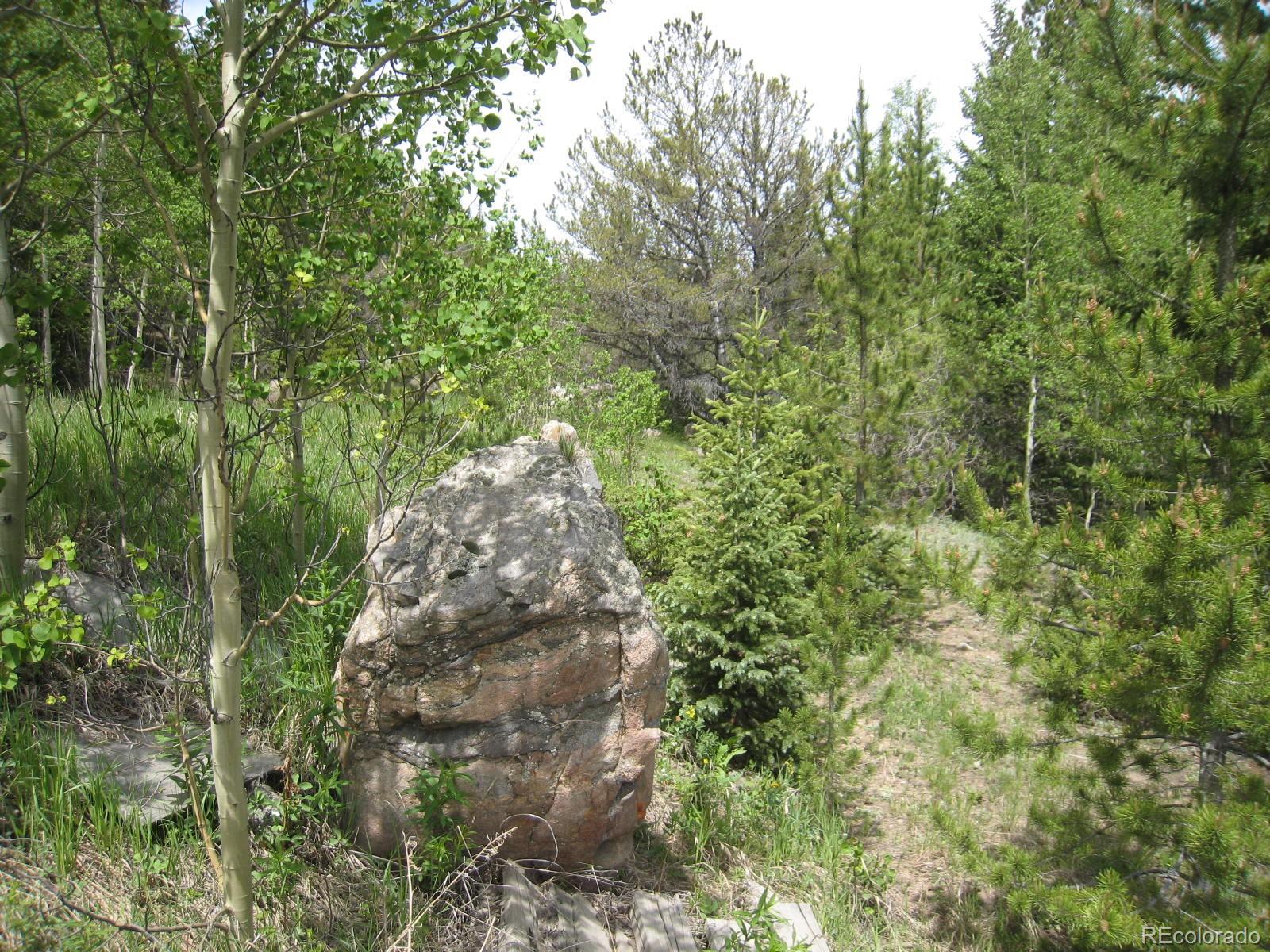 1 Rainbow Road Idaho Springs, CO 80452 - Photo 25 of 40 Gallery Image 25