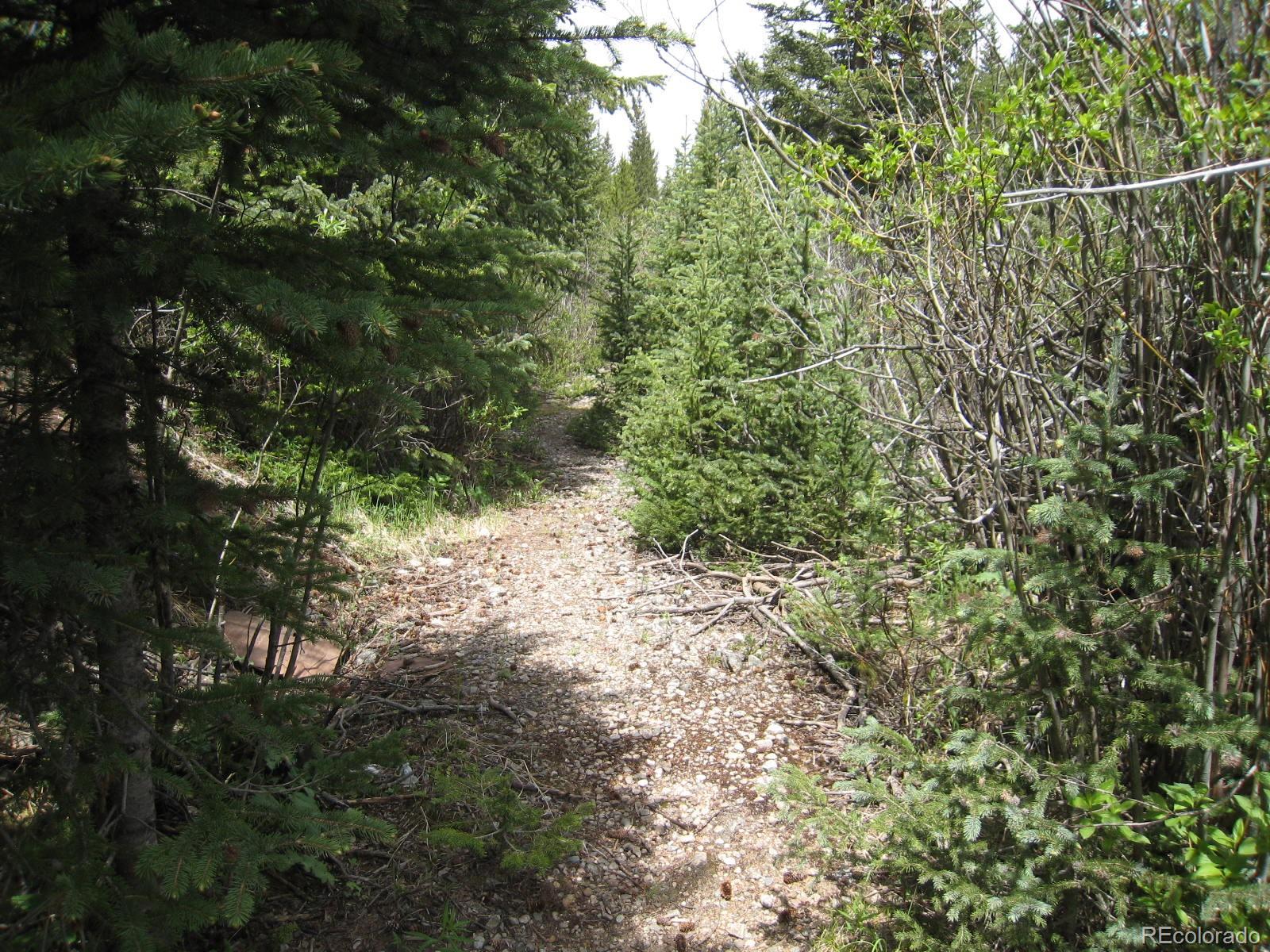 1 Rainbow Road Idaho Springs, CO 80452 - Photo 27 of 40 Gallery Image 27