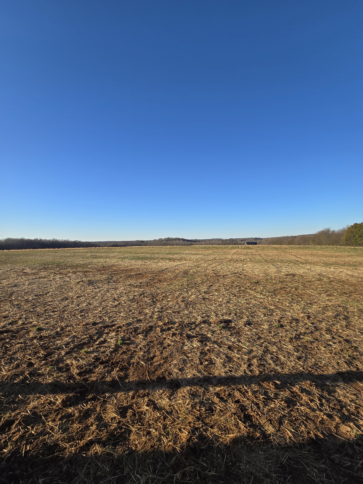 6784 Shelbyville Road Morrison, TN 37357 - Photo 14 of 48