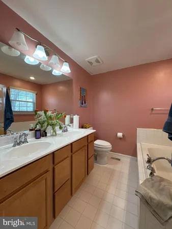 a bathroom with a sink a toilet and mirror