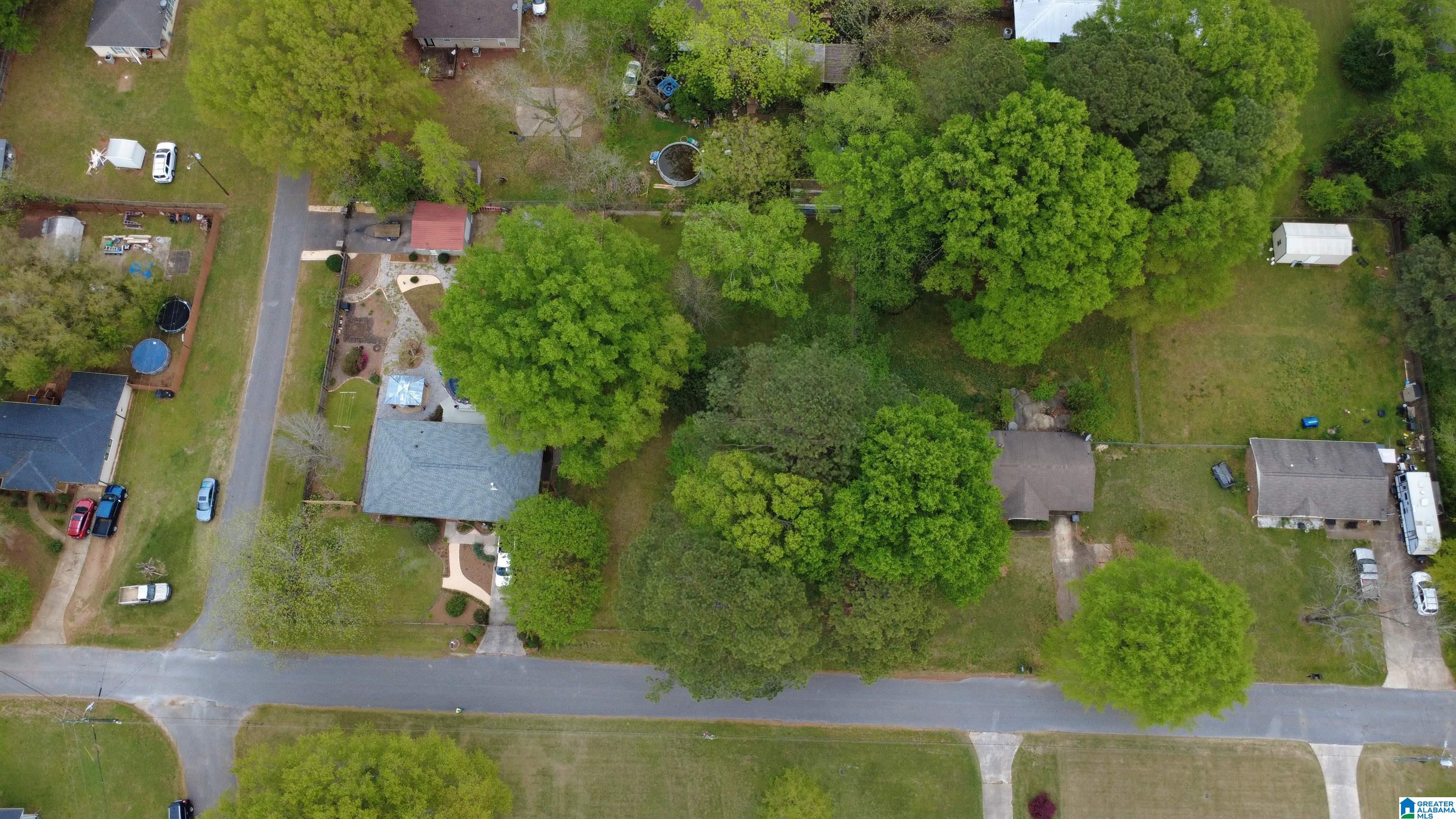 0 Strother Street Montevallo, AL 35115 - Photo 5 of 25