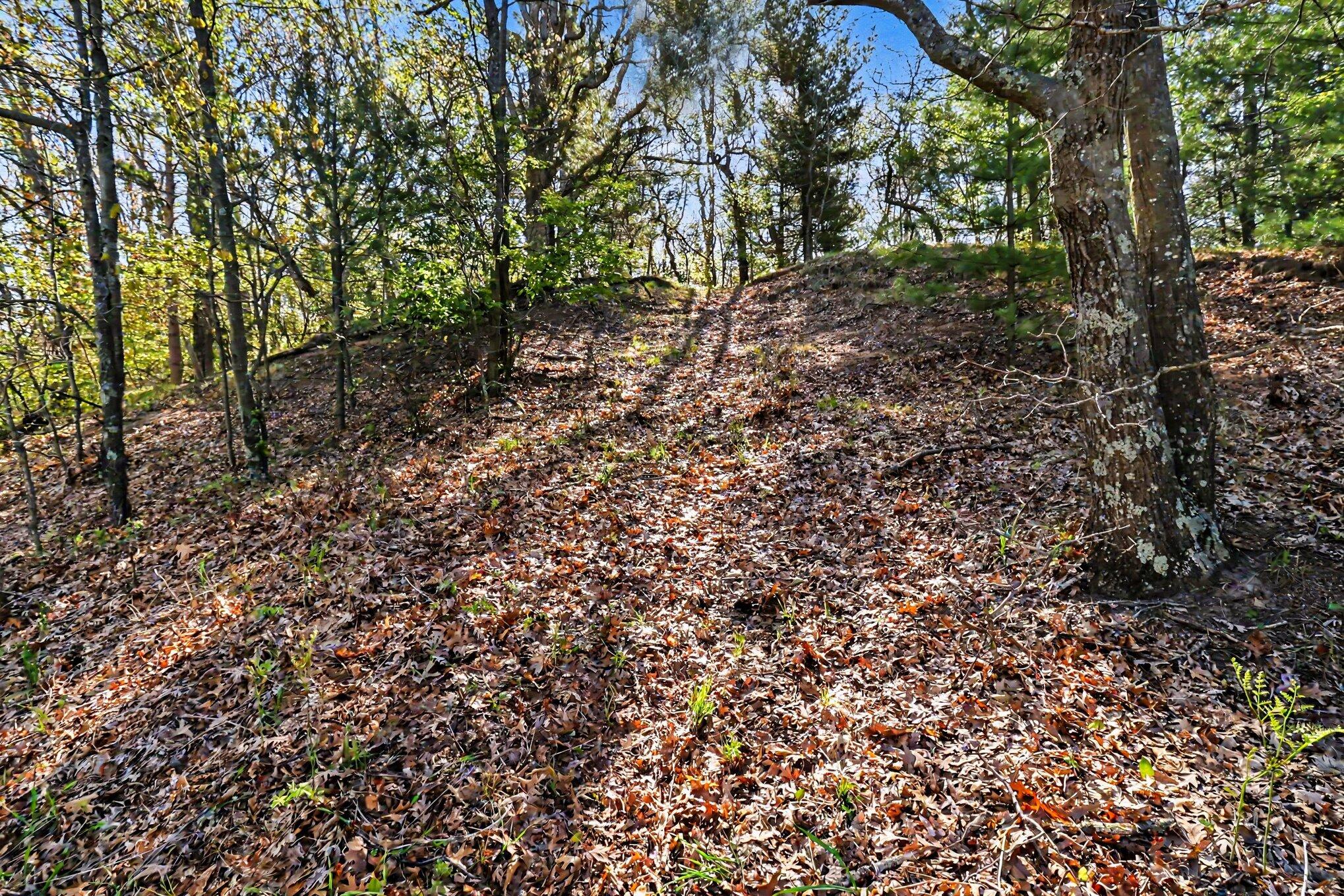 North Silver Ridge Road Mears, MI 49436 - Photo 3 of 14 file_5940