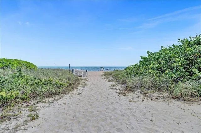 a view of a beach with a tree in the background