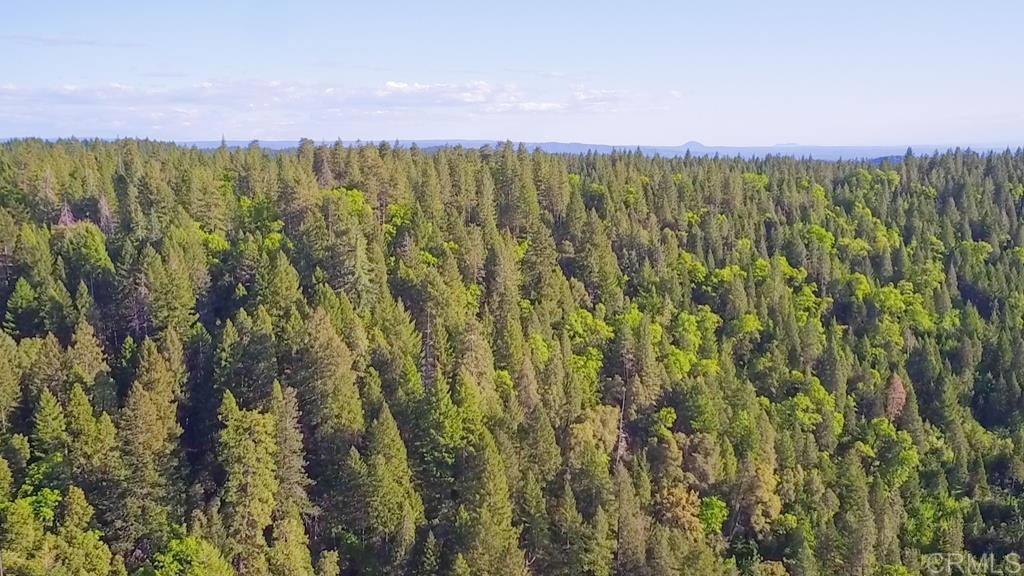 29276 Bullskin Ridge Road Oak Run, CA 96069 - Photo 3 of 21 a view of a city