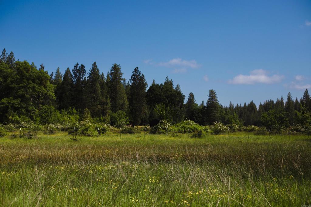 29276 Bullskin Ridge Road Oak Run, CA 96069 - Photo 5 of 21 a view of a grassy field with trees