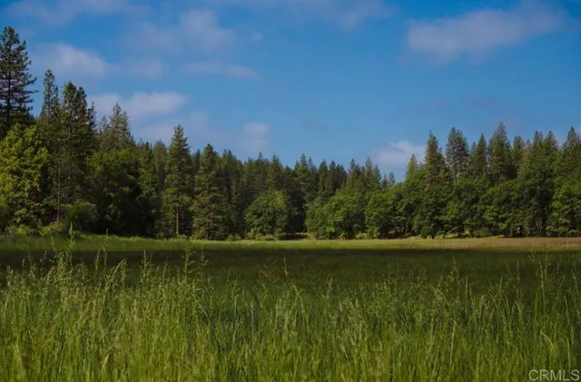 a view of outdoor space with deck and yard
