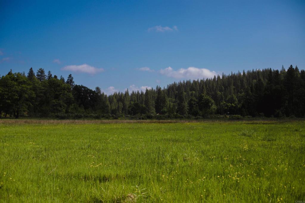 29276 Bullskin Ridge Road Oak Run, CA 96069 - Photo 9 of 21 a view of a field of grass and trees