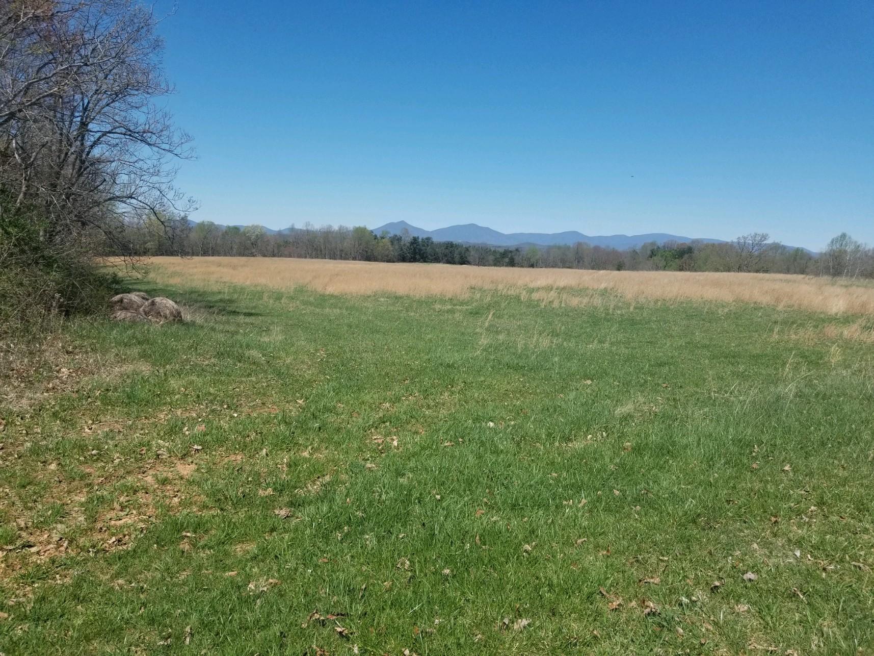 0 Crowder Road Bedford, VA 24523 - Photo 4 of 4 Horses Permitted; Pasture