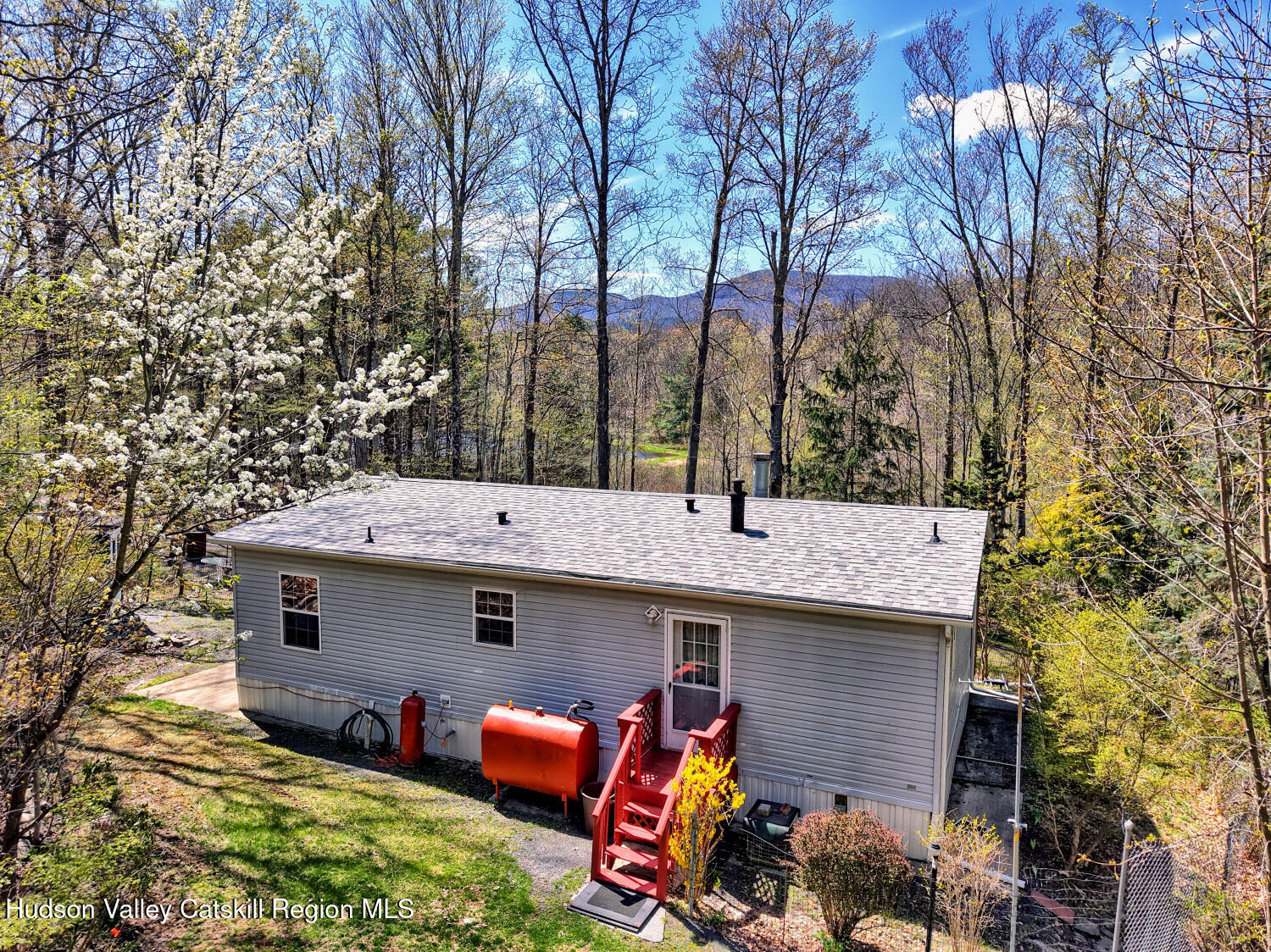 201 Edison Timmerman Road Cairo, NY 12413 - Photo 6 of 49 a view of a house with a yard and furniture