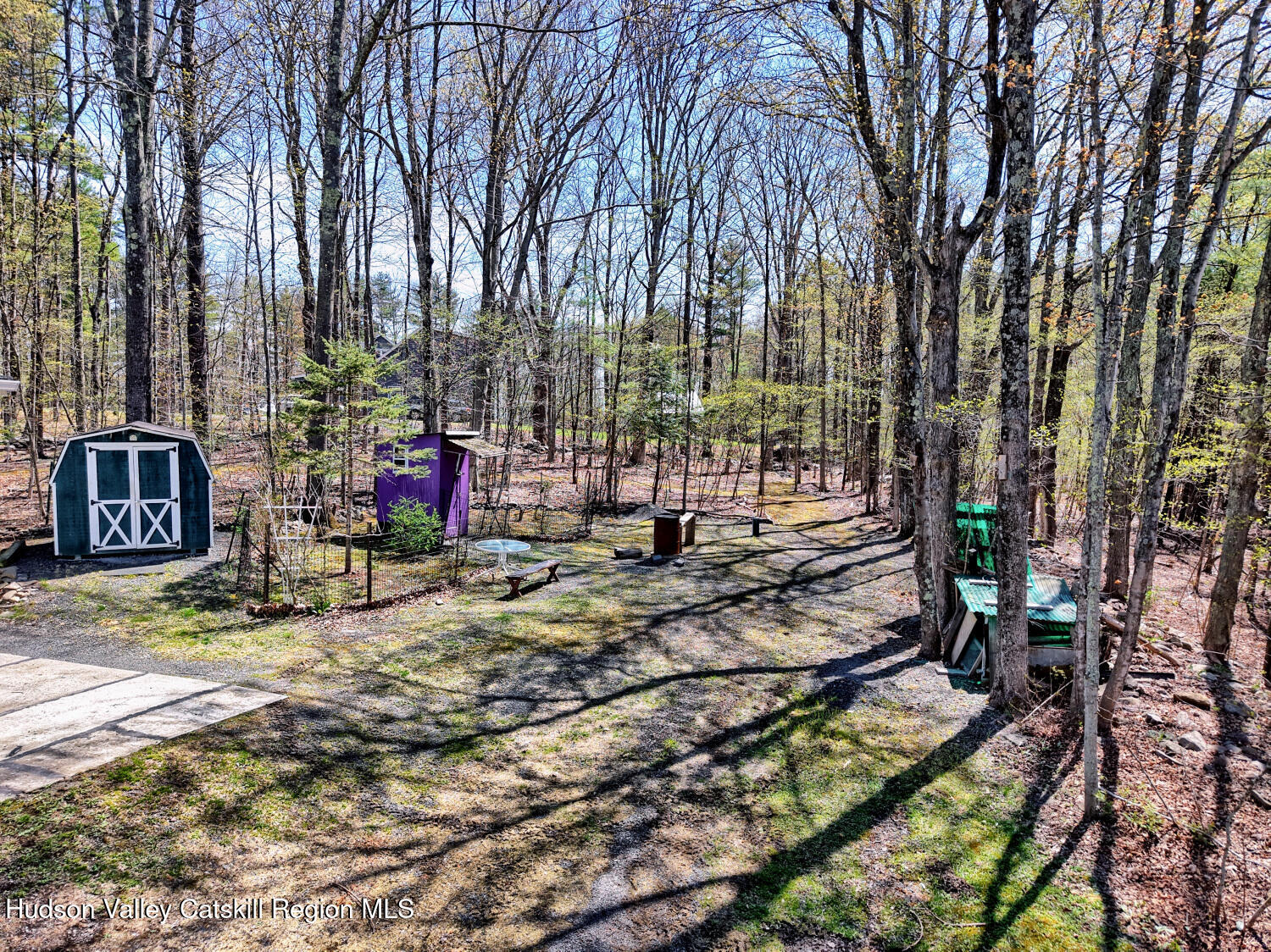 201 Edison Timmerman Road Cairo, NY 12413 - Photo 7 of 49 a view of a park with large trees