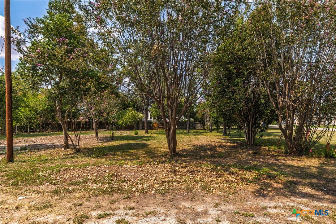 1308 Bert Street Seguin, TX 78155 - Photo 1 of 1 a view of a tree in the middle of a yard