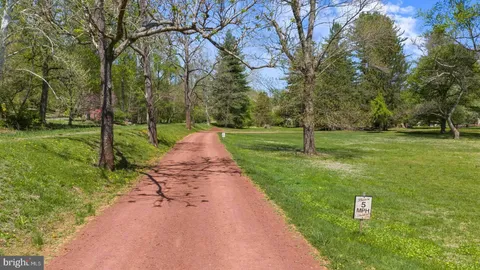 a view of a park with large trees
