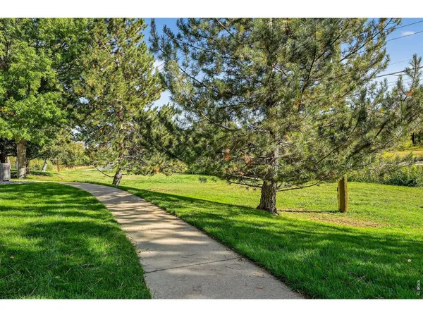 a park with trees in the background