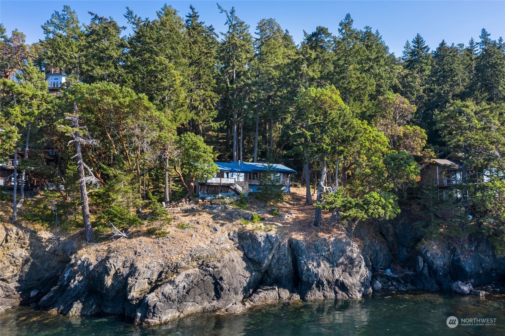 449 Madrona Drive San Juan Island, WA 98250 - Photo 2 of 27 a view of a yard with plants and large trees