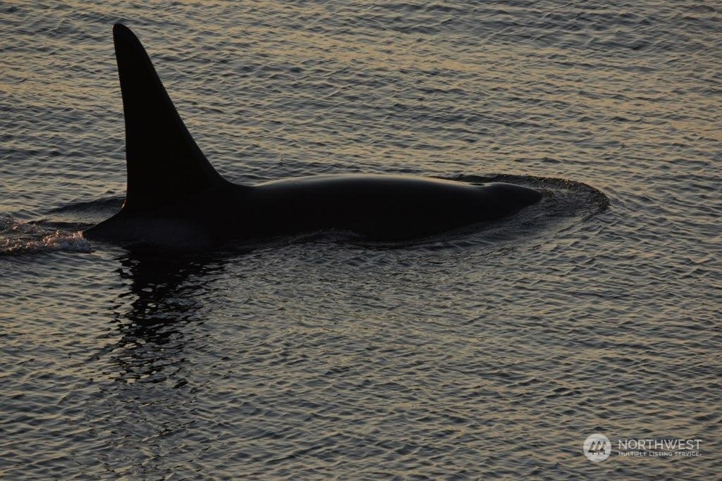 449 Madrona Drive San Juan Island, WA 98250 - Photo 26 of 27 a view of wooden floor