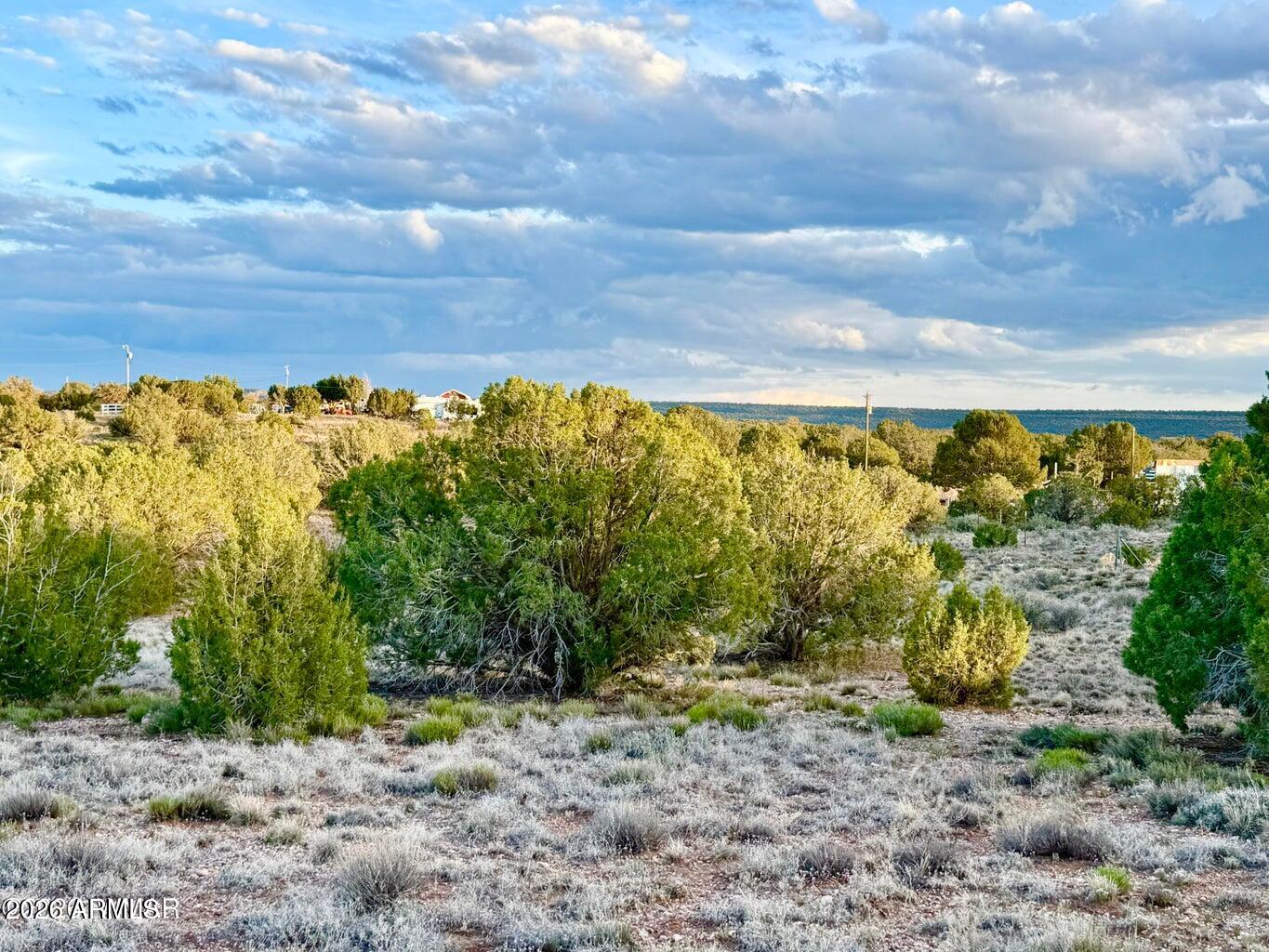 4428 Colt Road Snowflake, AZ 85937 - Photo 12 of 22 a view of a yard with a tree