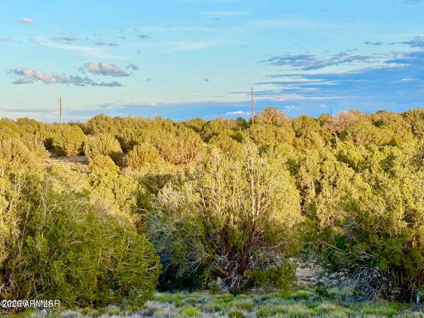 4428 Colt Road Snowflake, AZ 85937 - Photo 18 of 22 a view of an ocean