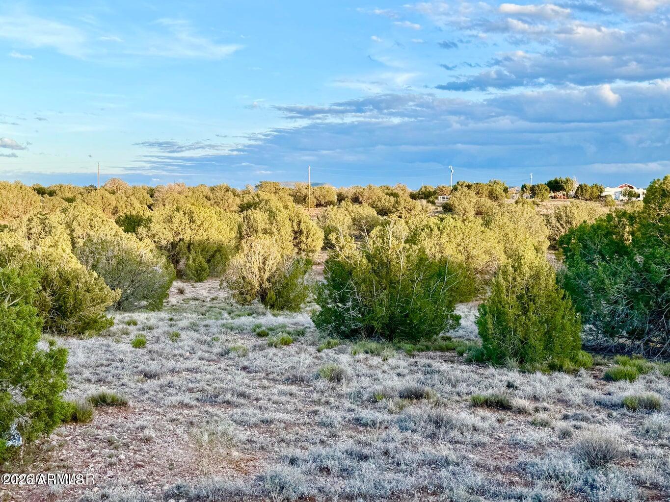 4428 Colt Road Snowflake, AZ 85937 - Photo 19 of 22 a view of an outdoor space with a lake view