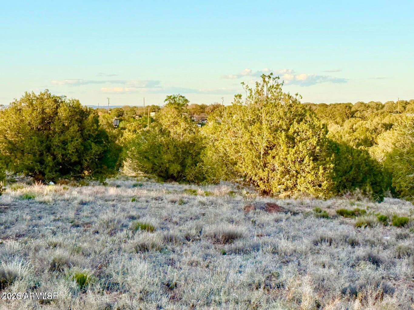 4428 Colt Road Snowflake, AZ 85937 - Photo 20 of 22 a view of a yard with an ocean