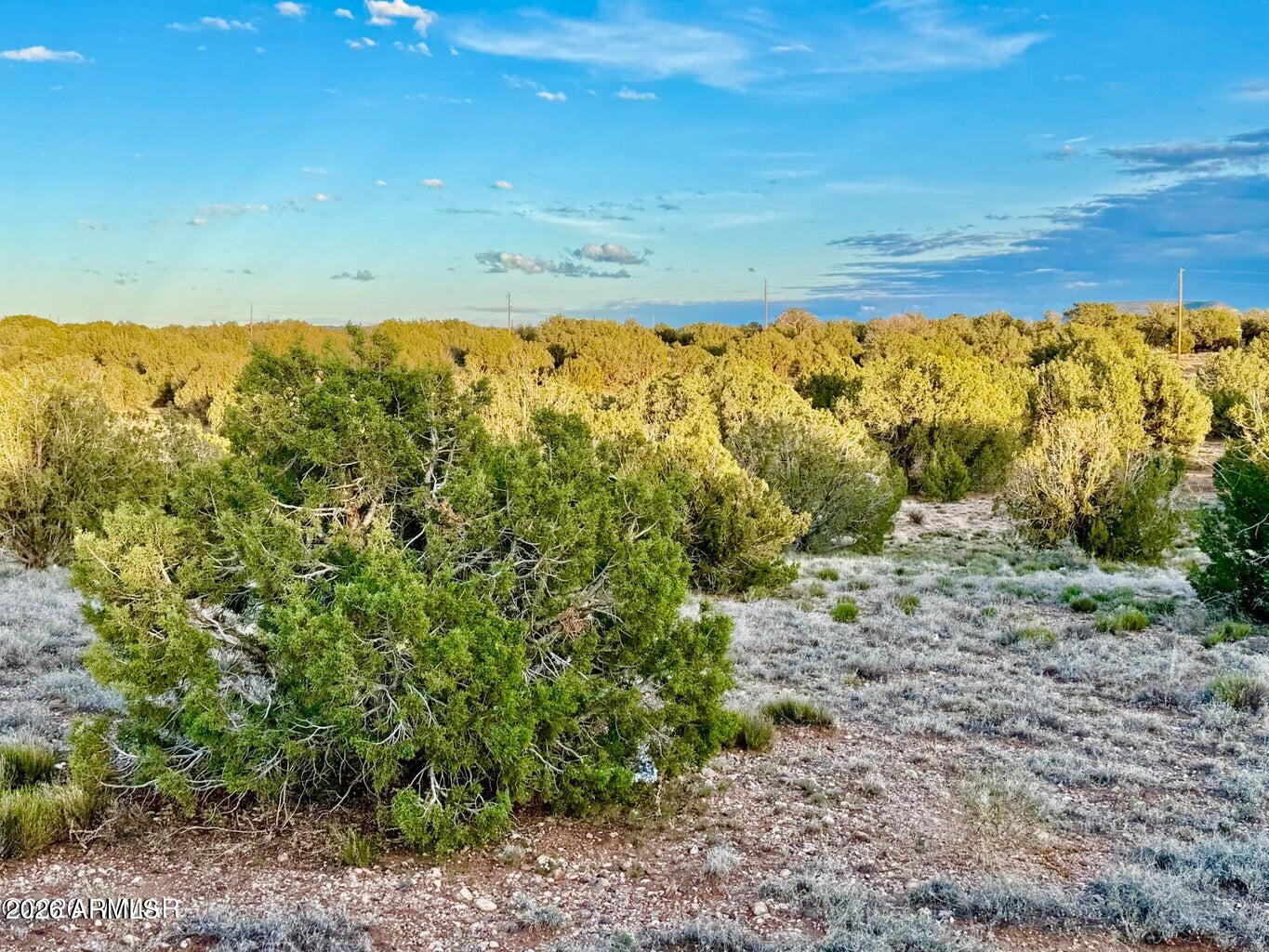 4428 Colt Road Snowflake, AZ 85937 - Photo 21 of 22 a view of an ocean