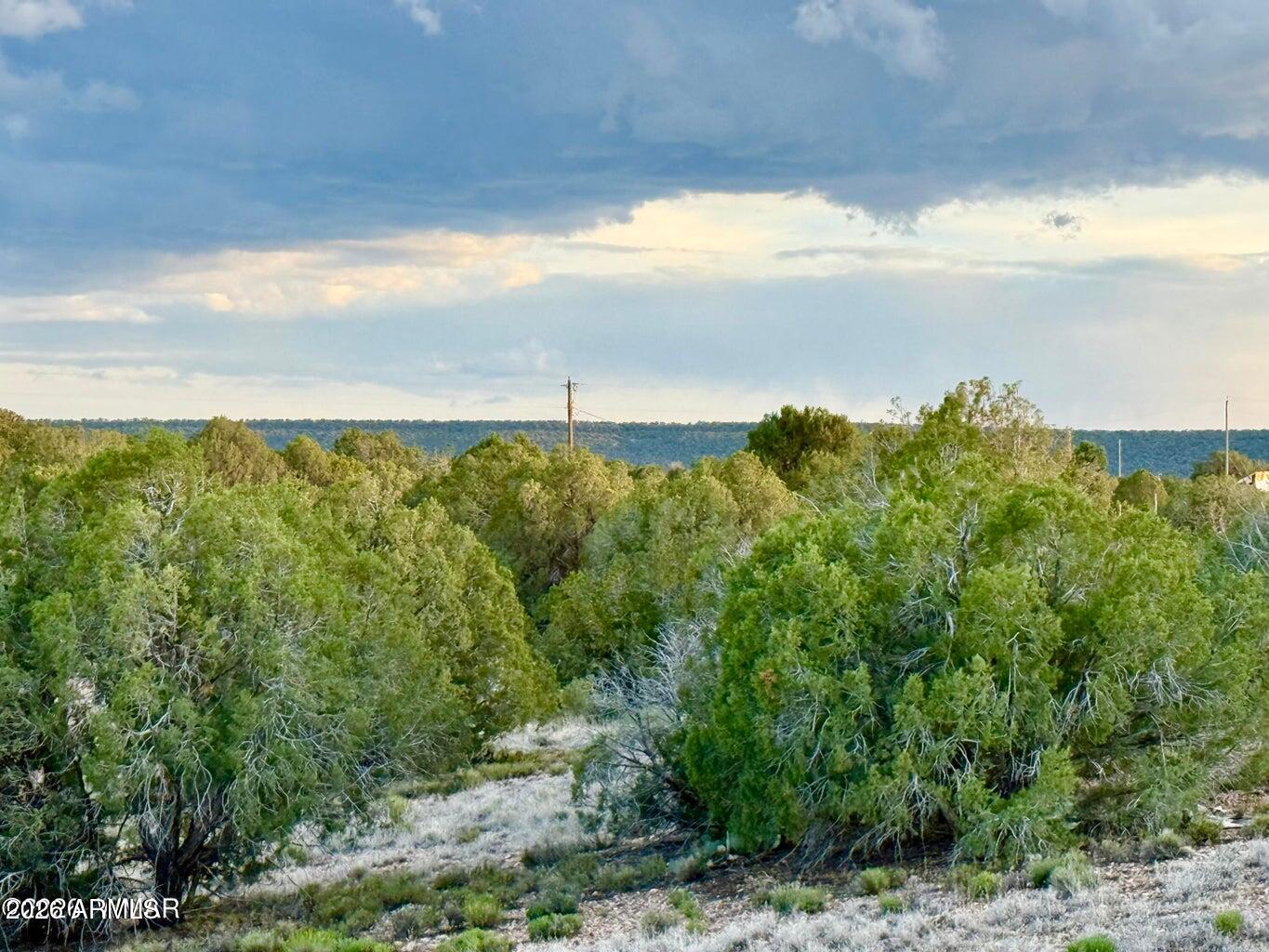 4428 Colt Road Snowflake, AZ 85937 - Photo 4 of 22 a view of a lake and mountain