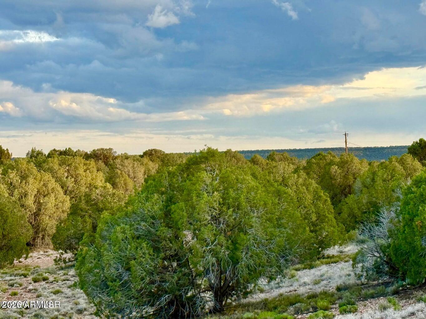 4428 Colt Road Snowflake, AZ 85937 - Photo 5 of 22 a view of a city with lush green forest
