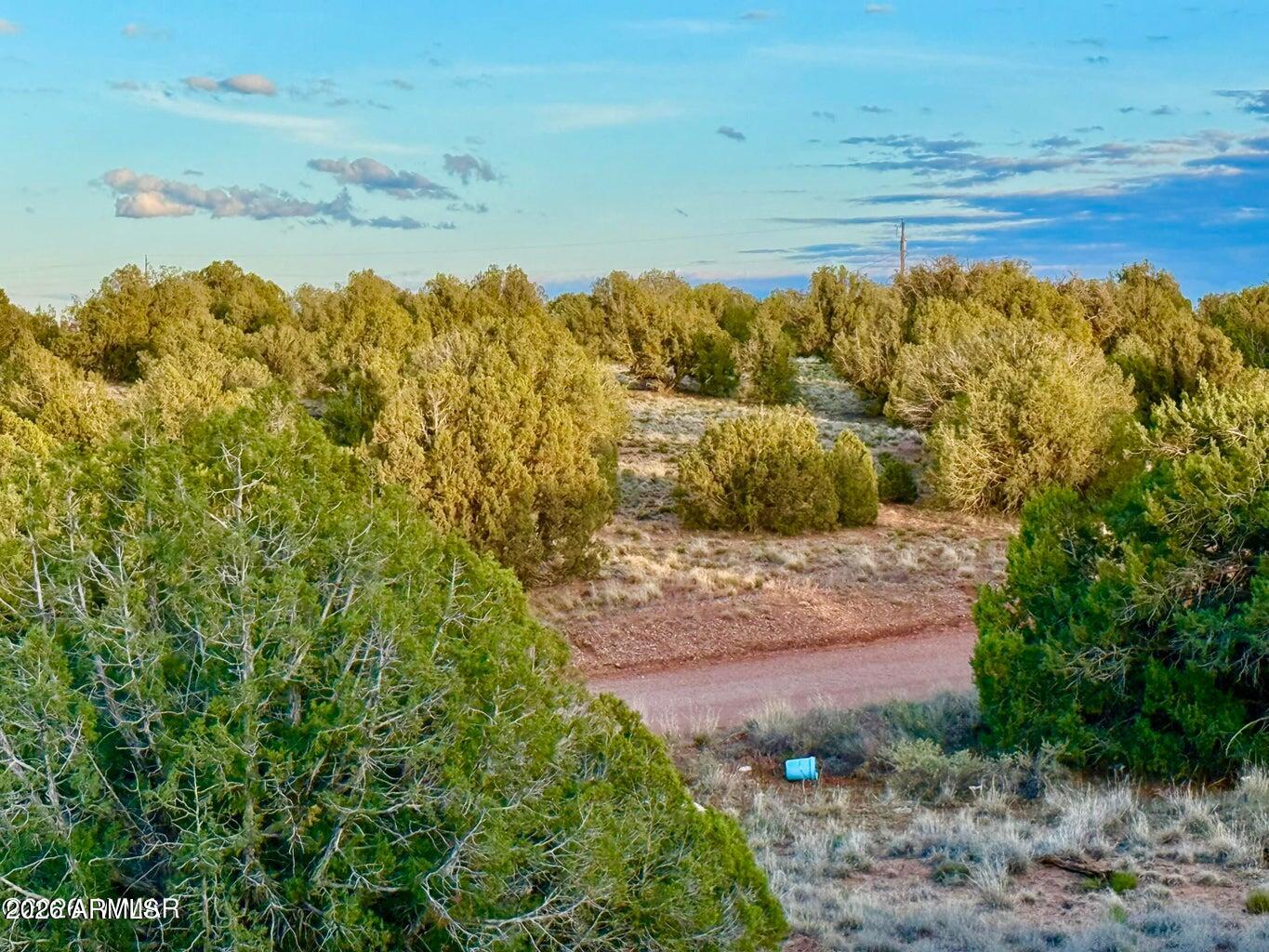 4428 Colt Road Snowflake, AZ 85937 - Photo 6 of 22 a view of ocean with beach