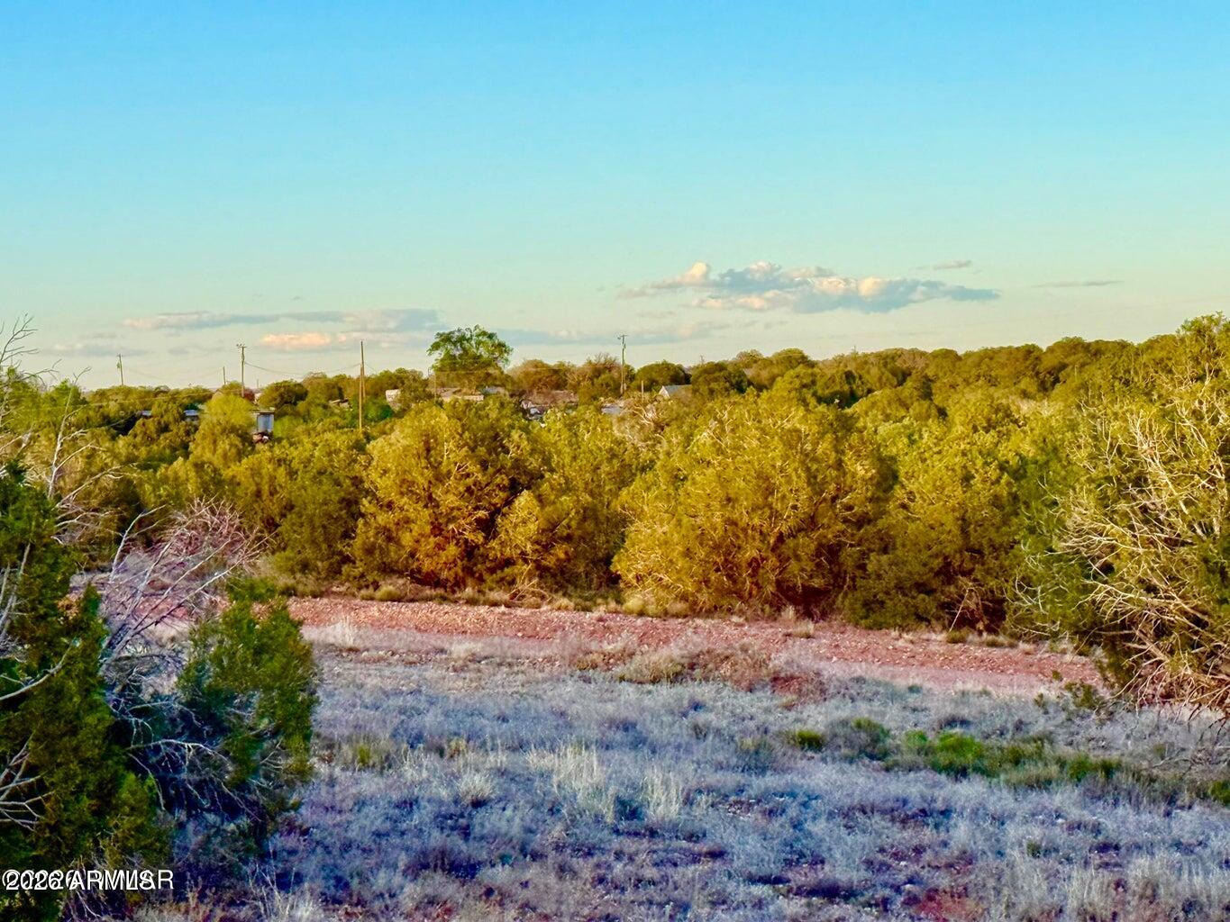 4428 Colt Road Snowflake, AZ 85937 - Photo 7 of 22