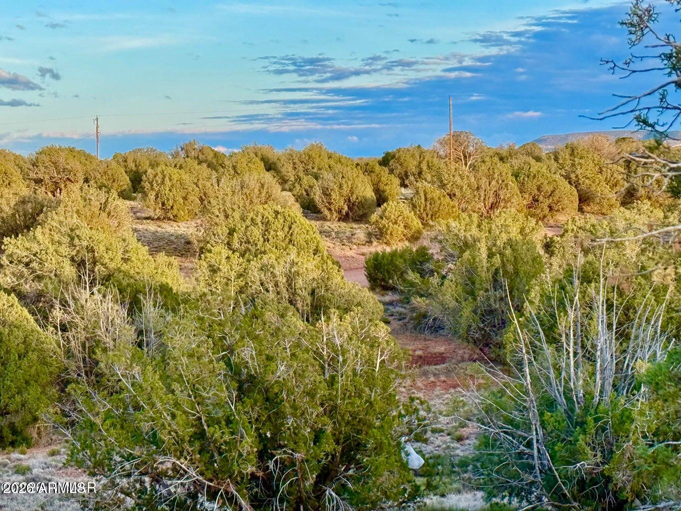 4428 Colt Road Snowflake, AZ 85937 - Photo 8 of 22 a view of lake view