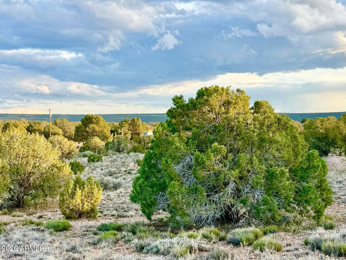 4428 Colt Road Snowflake, AZ 85937 - Photo 10 of 22 a view of a yard