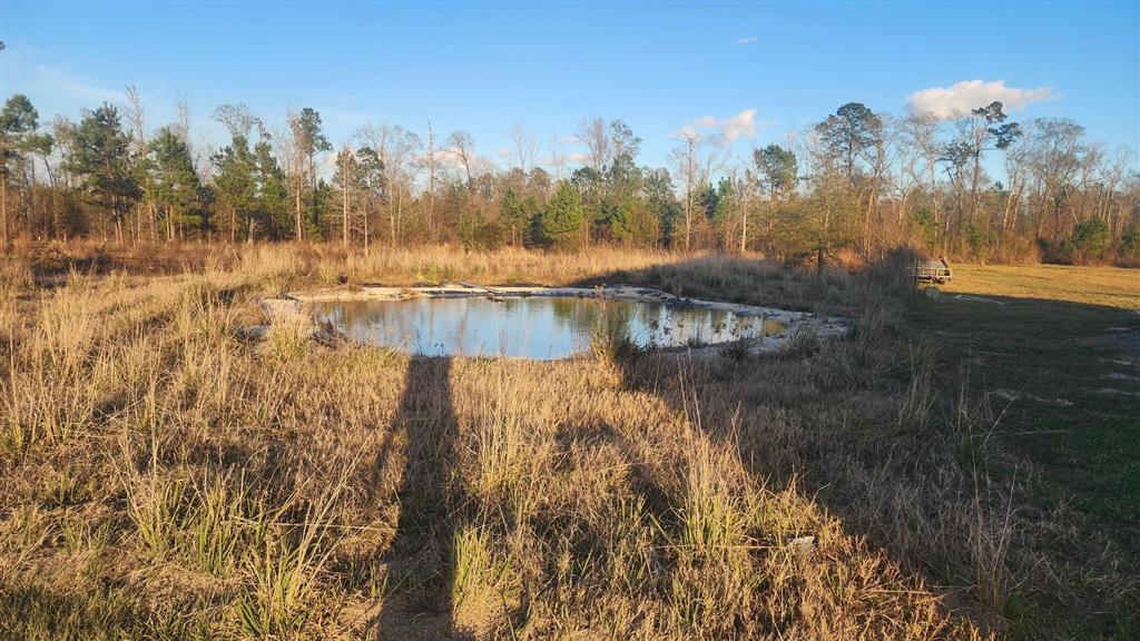 12941 Highway 113 Reeves, LA 70658 - Photo 9 of 10