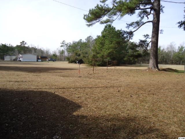 117 Abel Way Georgetown, SC 29440 - Photo 5 of 5 Gallery Image 5