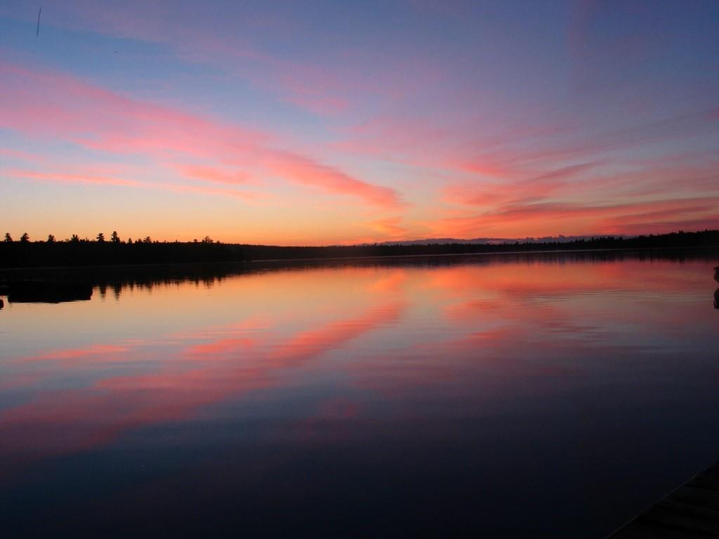 571 Phinney Farm Road Lincoln, ME 04457 - Photo 30 of 30 A peaceful haven on Cold Stream Pond...