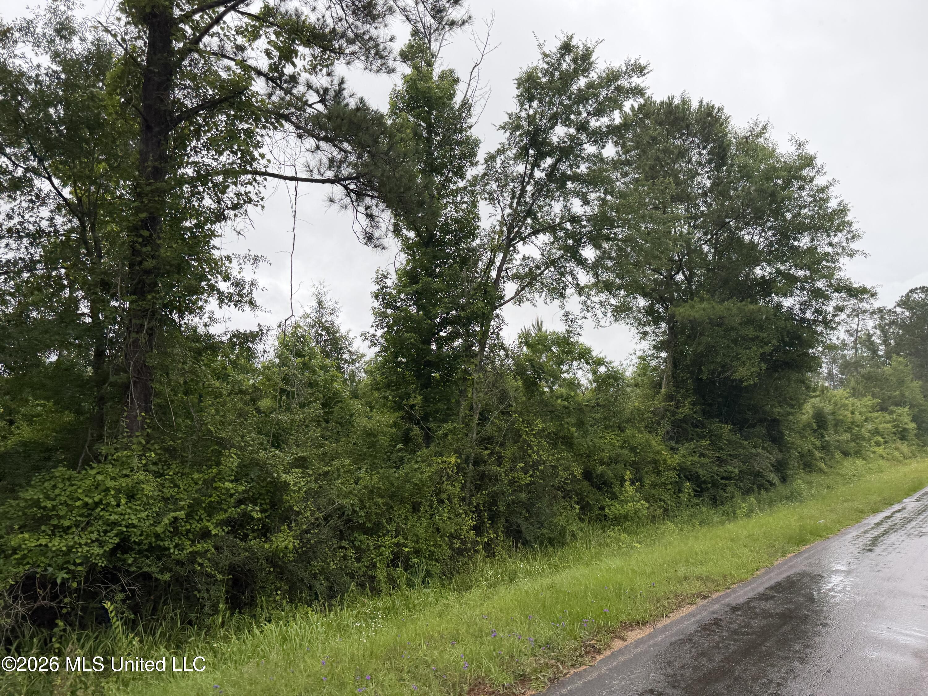 North River Road North Ruth, MS 39662 - Photo 2 of 13 IMG_7295