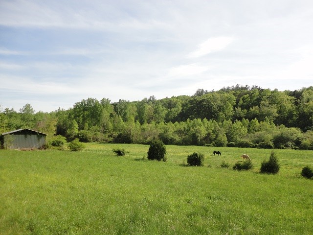871 East Preston McDaniel Road Pickens, SC 29671 - Photo 2 of 3