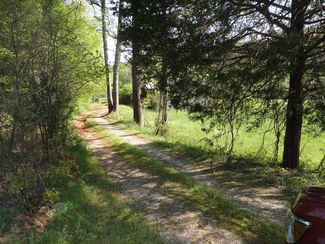871 East Preston McDaniel Road Pickens, SC 29671 - Photo 3 of 3