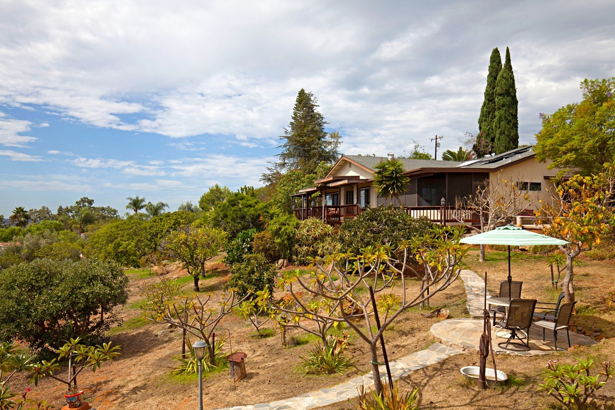 3442 Bumann Road Encinitas, CA 92024 - Photo 5 of 25 BEAUTIFUL FRUIT TREES AND PLANTS