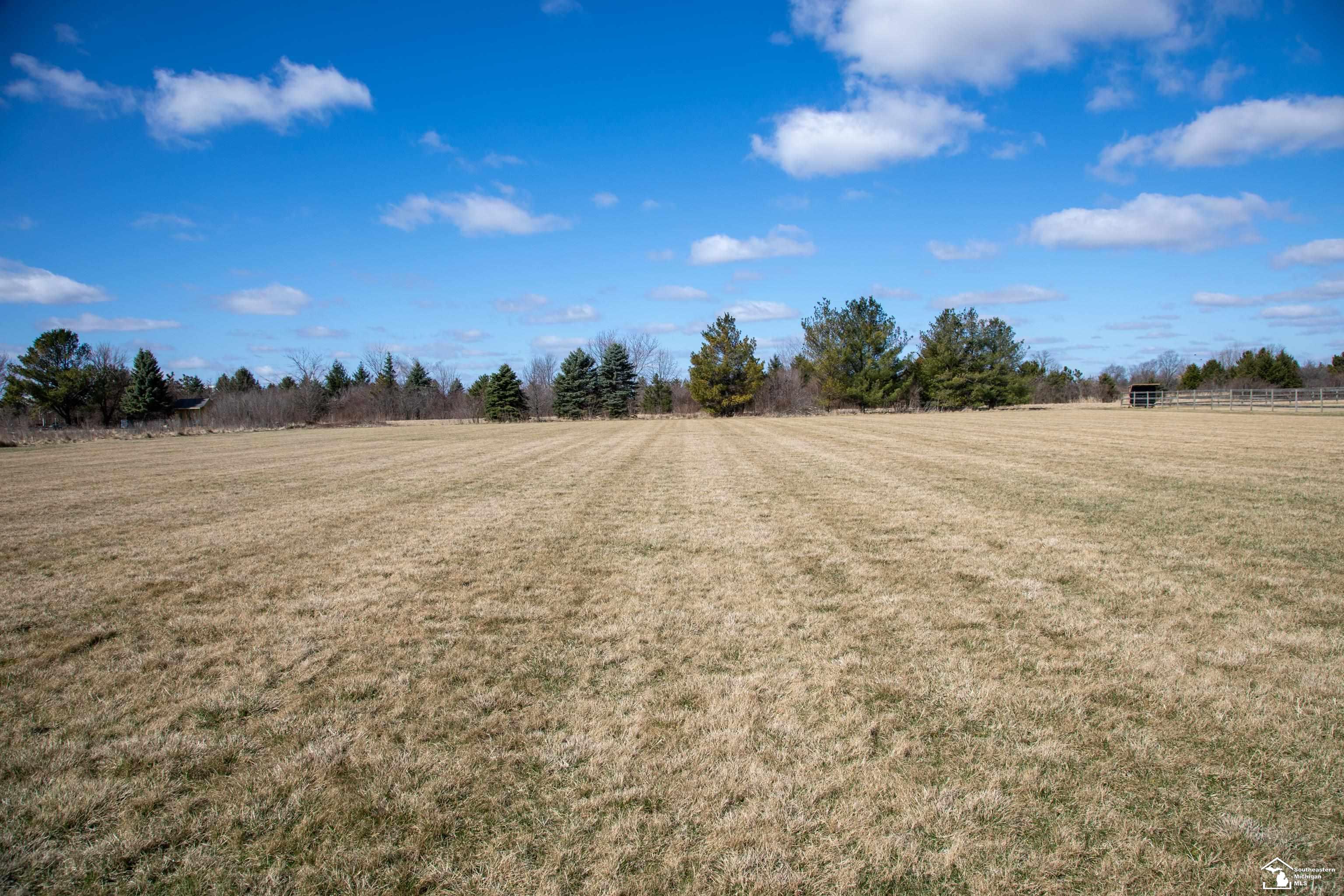 8901 Chinavare Road Newport, MI 48166 - Photo 38 of 44 50170434-a2f6b15c-4072-404f-a30f-b6e8a3e4f94c.JPG