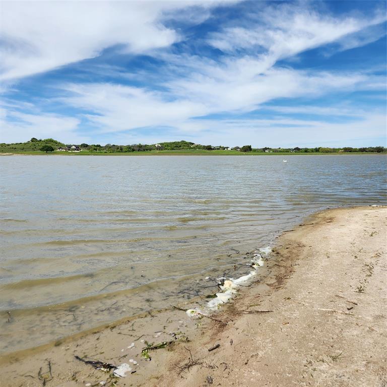 Tbd Comanche Lake Road Comanche, TX 76442 - Photo 3 of 5 a view of a lake view
