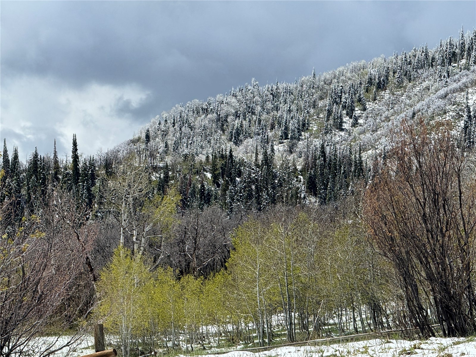 31775 Bradley Ranch Steamboat Springs, CO 80487 - Photo 34 of 49