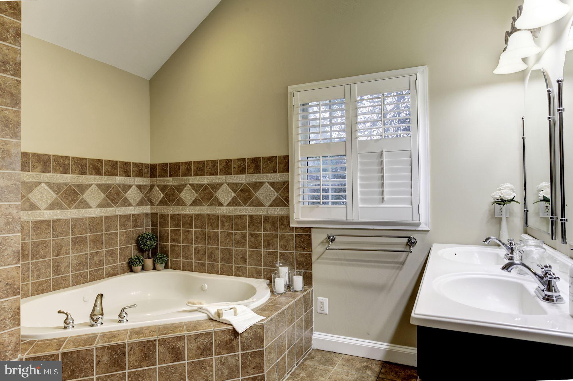 2819 South Arlington Ridge Road Arlington, VA 22202 - Photo 18 of 30 a bathroom with a bathtub sink and window