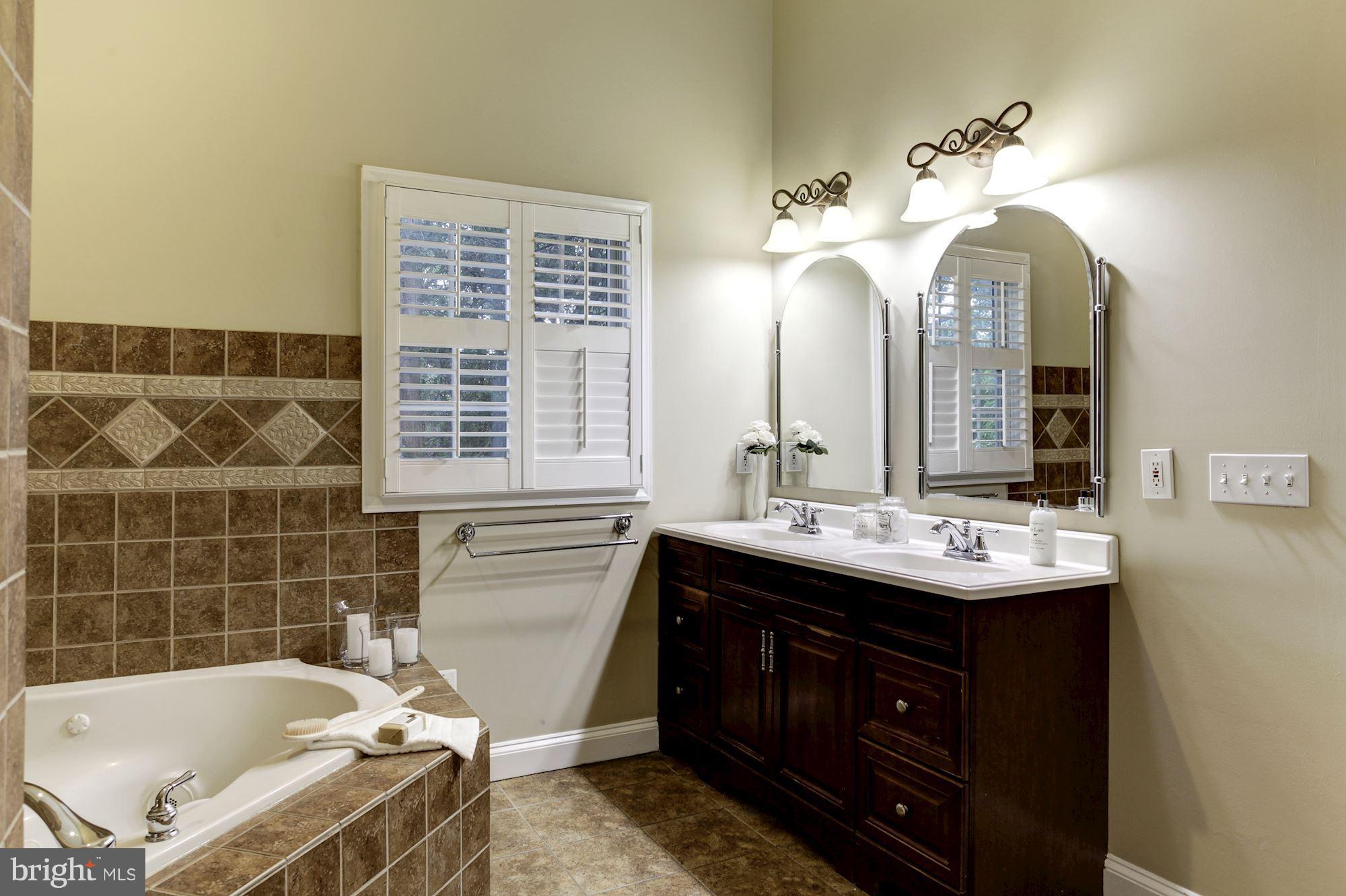 2819 South Arlington Ridge Road Arlington, VA 22202 - Photo 20 of 30 a bathroom with a double vanity sink mirror and bathtub
