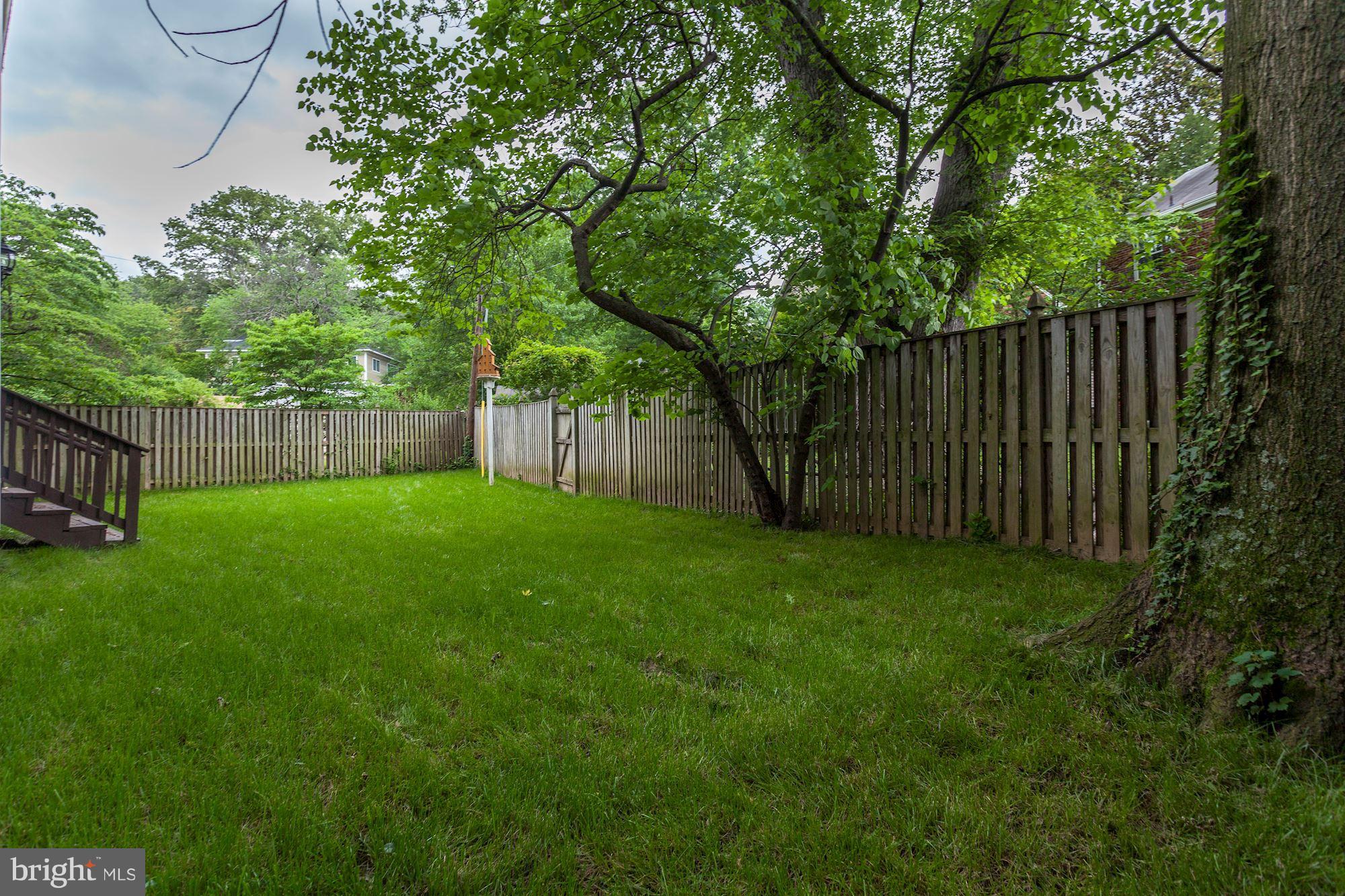 2819 South Arlington Ridge Road Arlington, VA 22202 - Photo 30 of 30 a view of a backyard with a plants and large trees