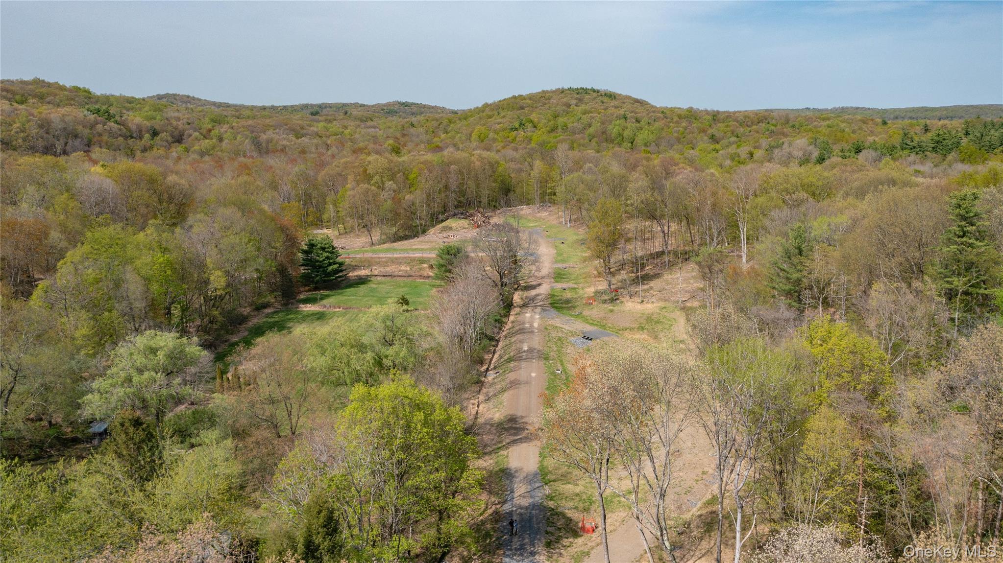 a view of a forest with mountains in the background