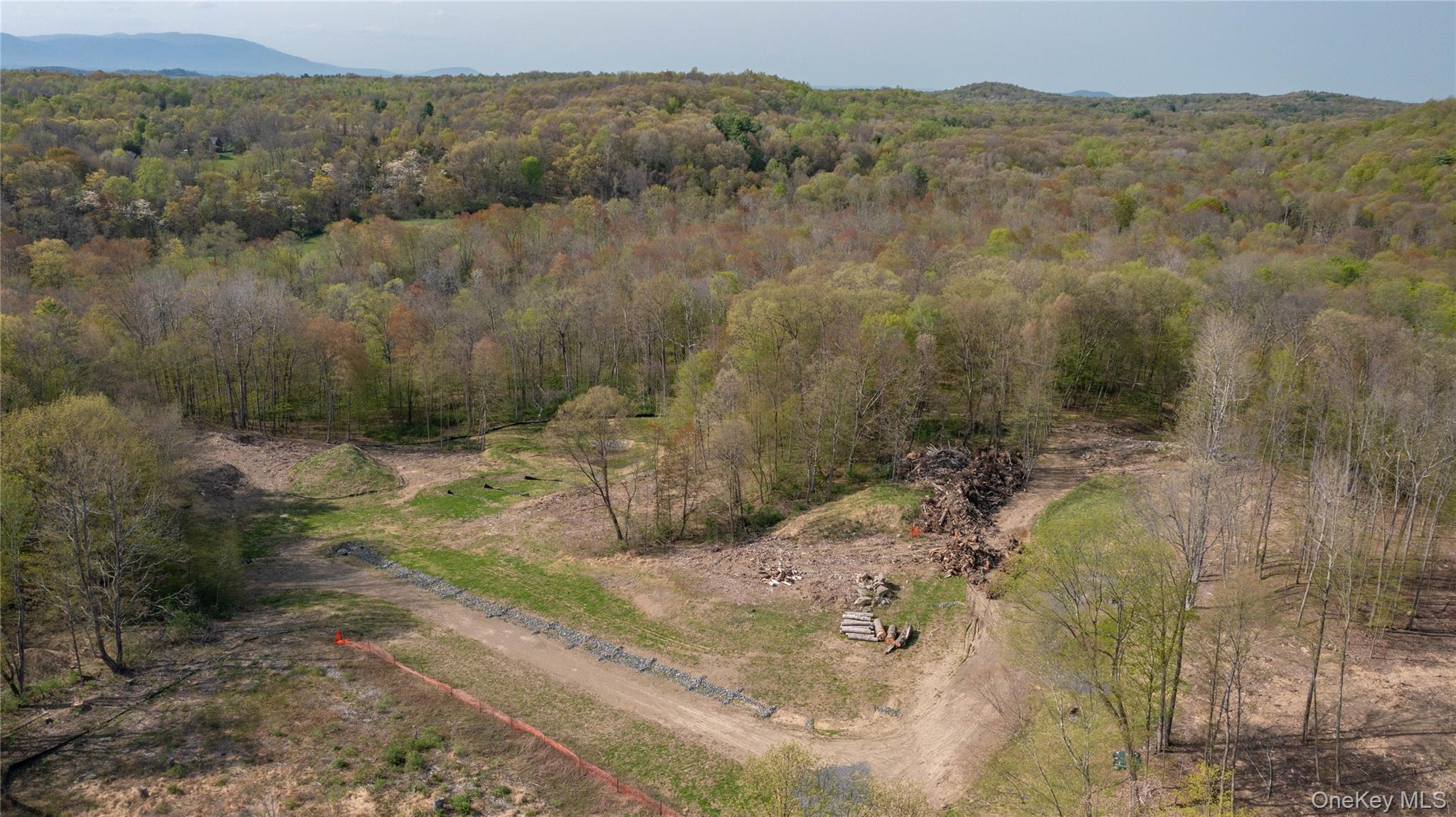 Feller Newmark Road Red Hook, NY 12571 - Photo 11 of 21 a view of a yard with a mountain