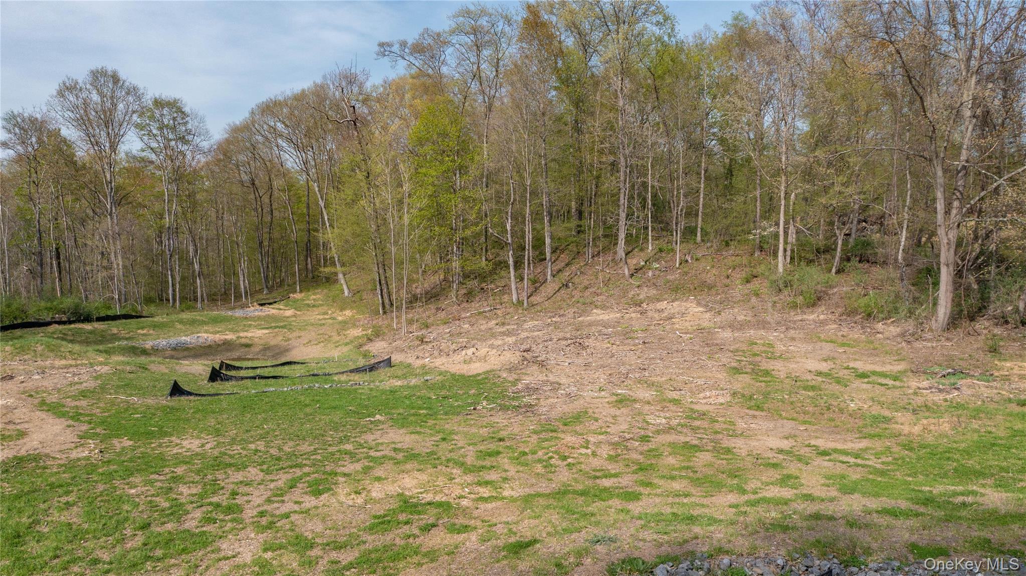 Feller Newmark Road Red Hook, NY 12571 - Photo 15 of 21 a backyard of a house with lots of green space