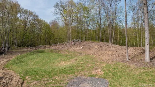 a view of a yard with trees
