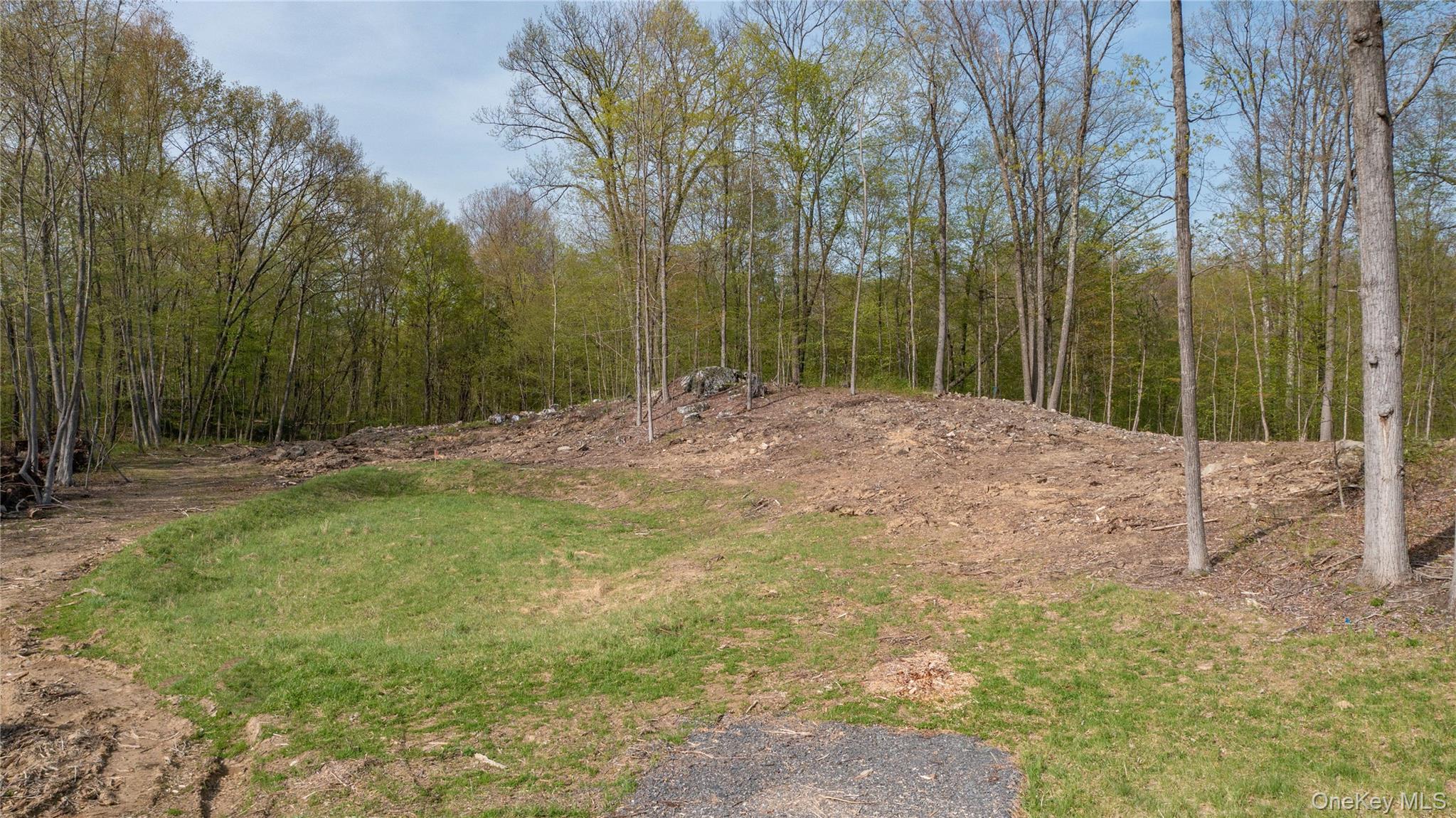 Feller Newmark Road Red Hook, NY 12571 - Photo 16 of 21 a outdoor space with trees