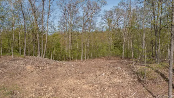 a view of a bathroom with shower