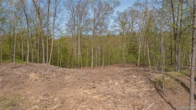 a view of a bathroom with shower